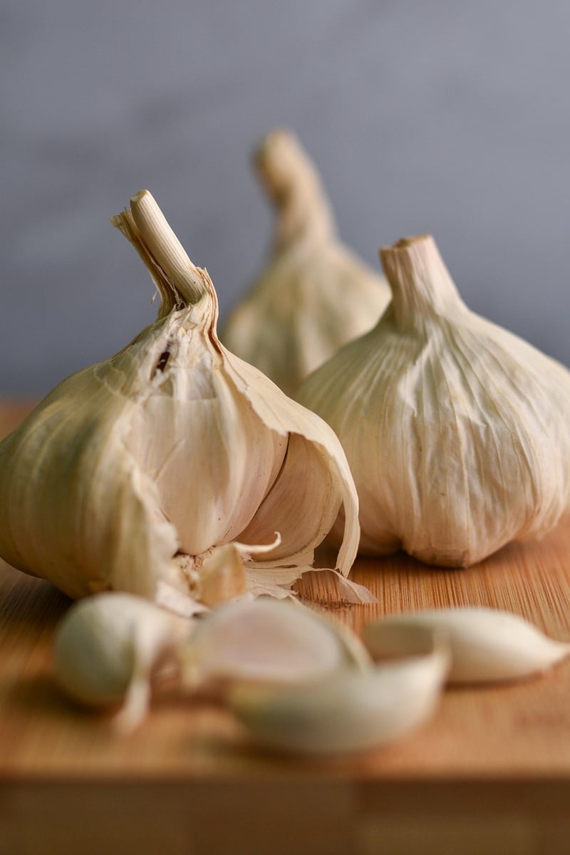 Plant-based Ingredients